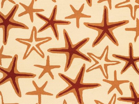 Couristan Beachfront Starfish Ivory Coral Area Rug Online now