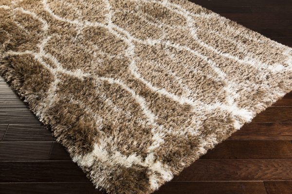 Surya Rhapsody RHA-1029 Area Rug Fashion