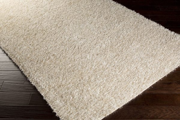 Surya Taz TAZ-1026 Area Rug Cheap