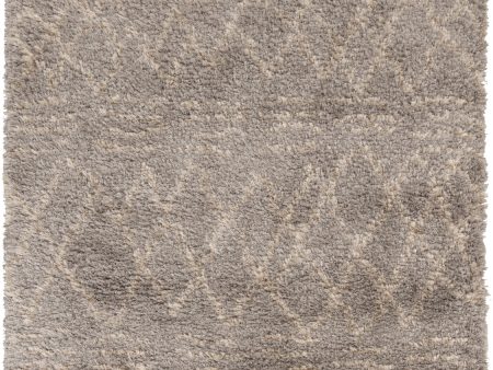 Surya Rhapsody RHA-1032 Area Rug Fashion