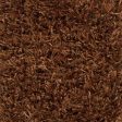 Surya Taz TAZ-1023 Area Rug Online Sale