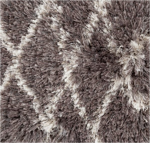 Surya Rhapsody RHA-1023 Area Rug Supply