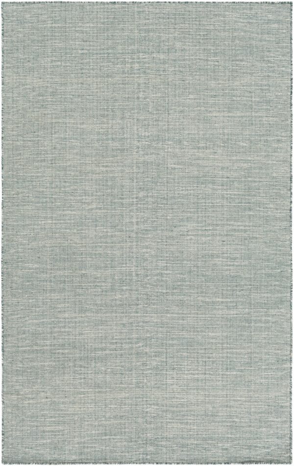 Surya Pipton PPT-6007 Area Rug Online now