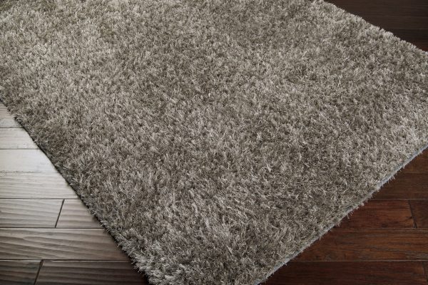 Surya Taz TAZ-1000 Area Rug Cheap