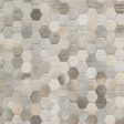 Surya Polar PLR-2000 Area Rug Online now