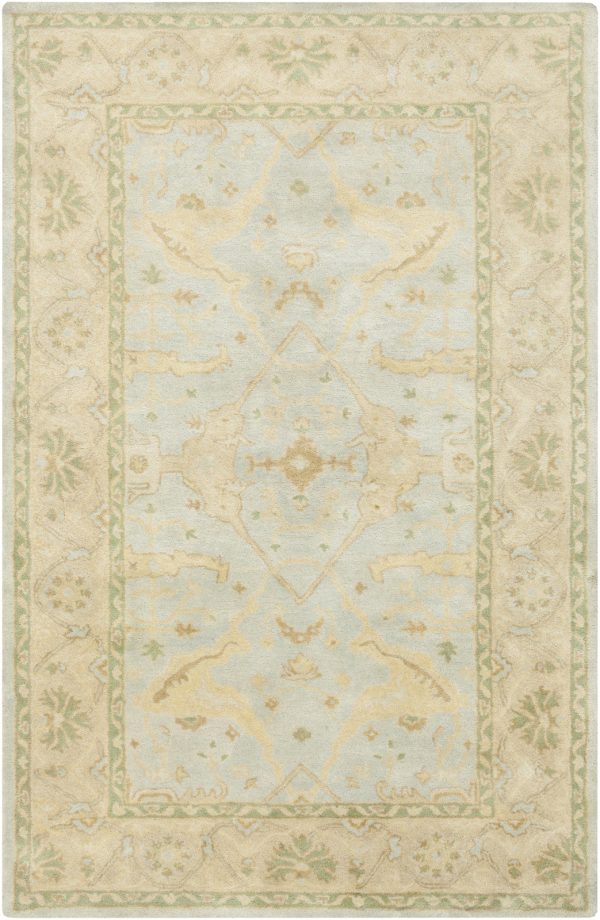 Surya Relic RLC-3005 Area Rug Online Sale