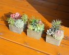 Mingfuxin Artificial Succulents Plants Discount