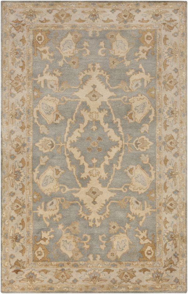 Surya Relic RLC-3002 Area Rug Online Sale