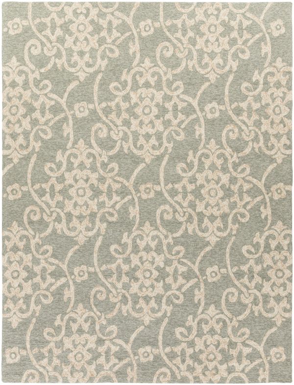 Surya Rain RAI-1103 Area Rug For Cheap