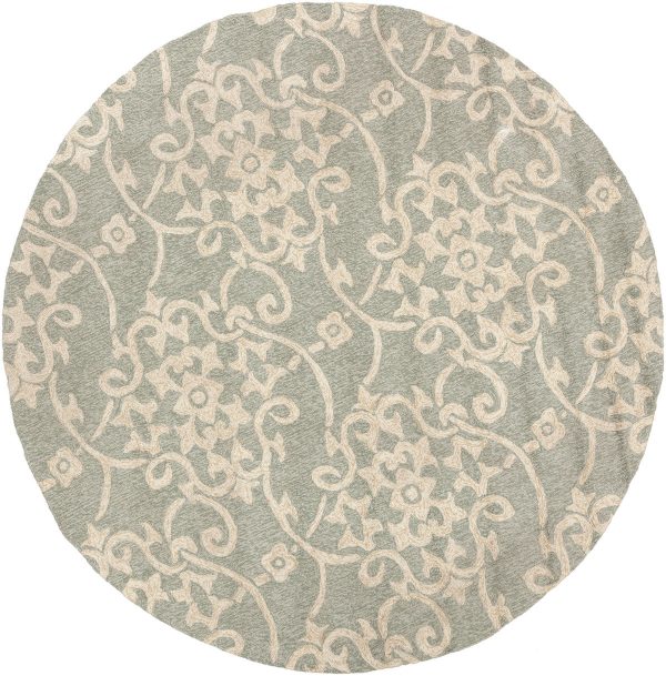 Surya Rain RAI-1103 Area Rug For Cheap