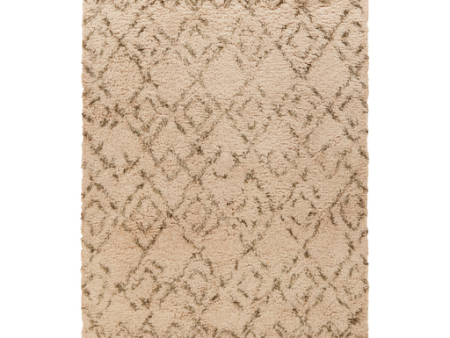 Surya Tasman TAS-4503 Area Rug Online Sale