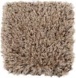 Surya Rhapsody RHA-1003 Area Rug Online Sale