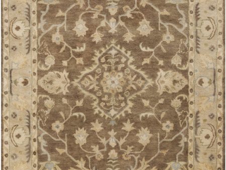 Surya Relic RLC-3003 Area Rug Online