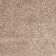 Surya Taz TAZ-1002 Area Rug Discount