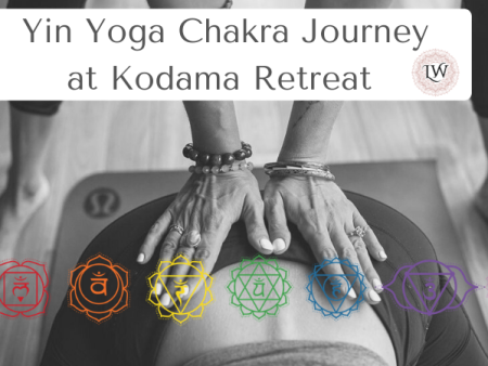 Healing Yin Yoga Chakra Journey - Tues June 23rd 6-7.30pm Hot on Sale