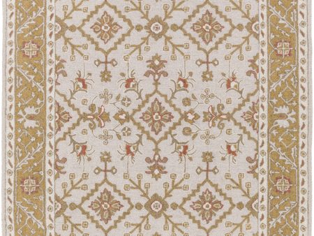 Surya Castille CTL-2001 Area Rug For Sale