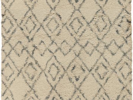 Surya Tasman TAS-4501 Area Rug Sale