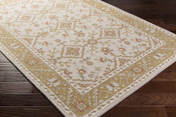 Surya Castille CTL-2001 Area Rug For Sale