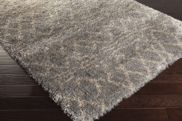 Surya Rhapsody RHA-1032 Area Rug Fashion