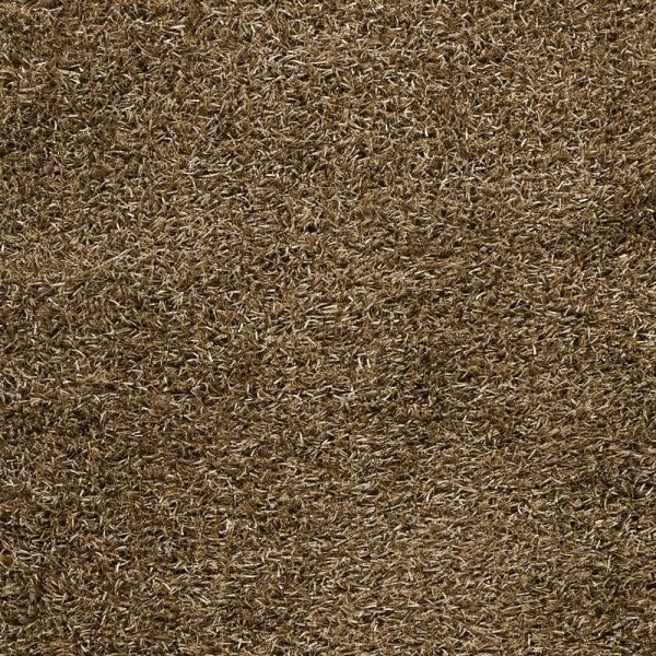 Surya Taz TAZ-1022 Area Rug For Cheap