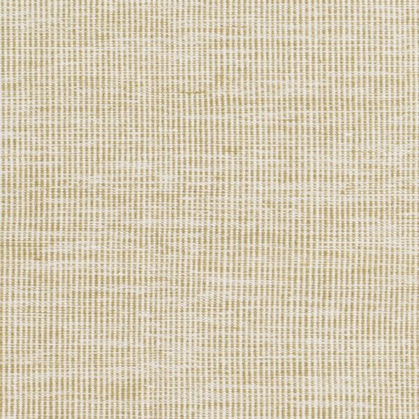 Surya Pipton PPT-6005 Area Rug Cheap