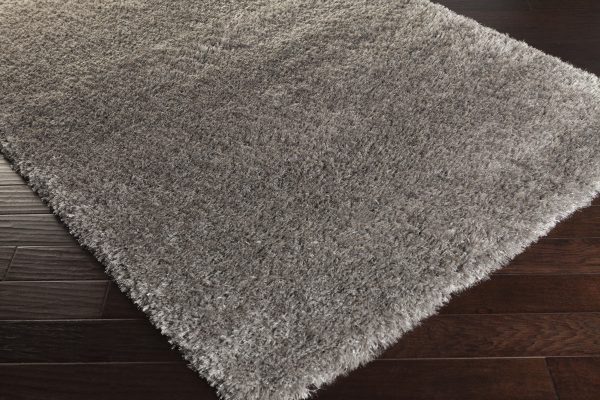 Surya Rhapsody RHA-1033 Area Rug Online now