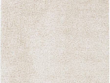 Surya Taz TAZ-1026 Area Rug Cheap