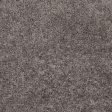 Surya Taz TAZ-1000 Area Rug Cheap