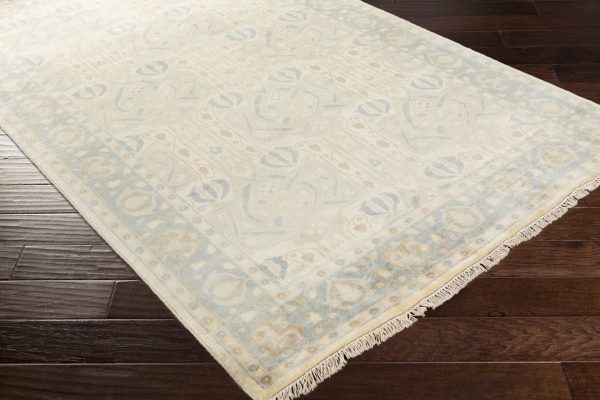 Surya Uncharted UND-2003 Area Rug Cheap