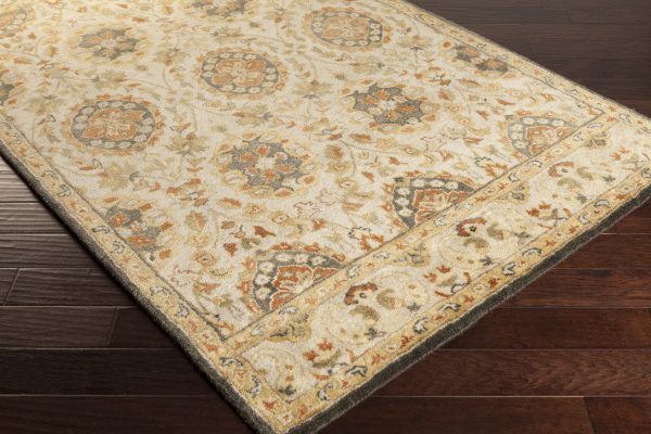 Surya Relic RLC-3004 Area Rug Discount