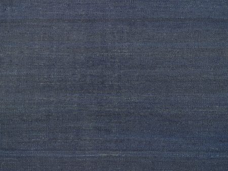 Couristan Ambary Agave Navy Area Rug For Sale