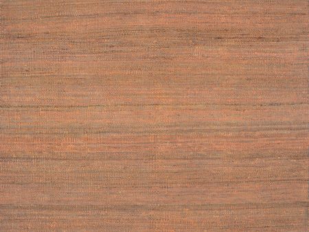 Couristan Ambary Agave Rust Area Rug Sale