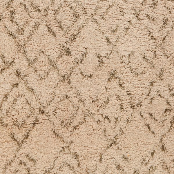 Surya Tasman TAS-4503 Area Rug Online Sale