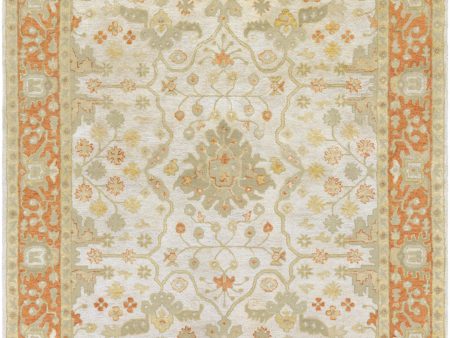 Surya Relic RLC-3006 Area Rug Online now