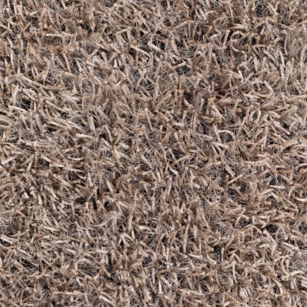 Surya Taz TAZ-1000 Area Rug Cheap