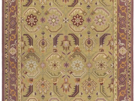 Surya Sonoma SNM-9039 Area Rug Online now