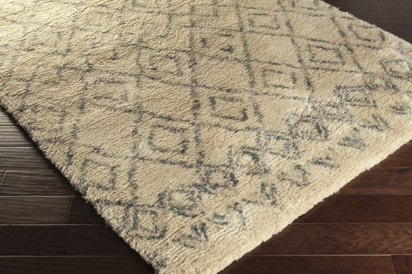 Surya Tasman TAS-4501 Area Rug Sale