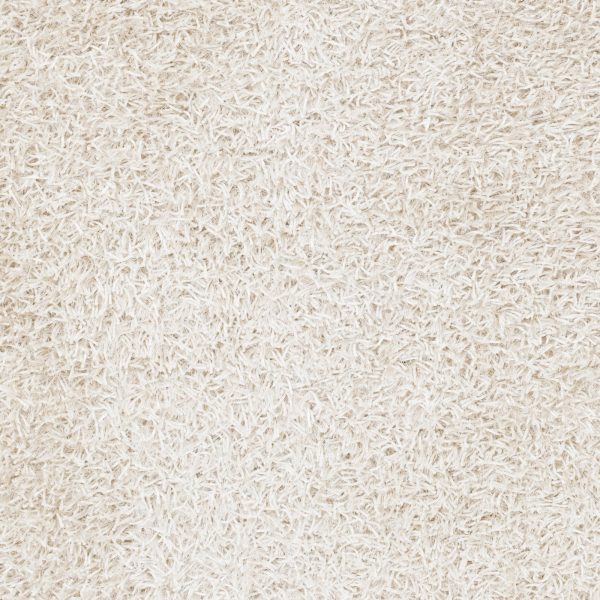 Surya Taz TAZ-1026 Area Rug Cheap