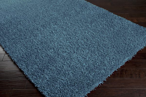 Surya Shimmer SHI-5004 Area Rug Online