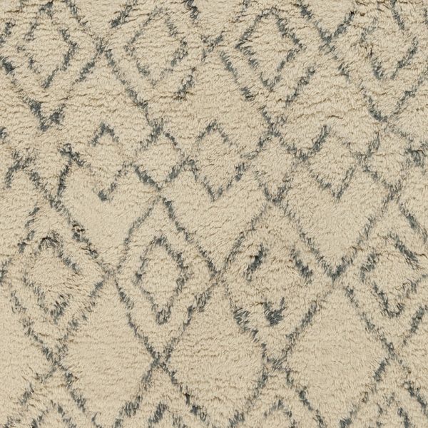 Surya Tasman TAS-4501 Area Rug Sale