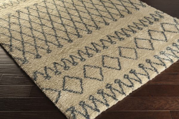 Surya Tasman TAS-4507 Area Rug Fashion