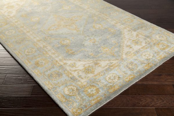 Surya Relic RLC-3008 Area Rug on Sale