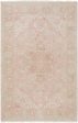 Surya Transcendent TNS-9006 Area Rug Cheap