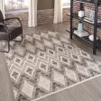 Momeni Atlas ATL-3 Natural Area Rug Online now