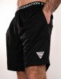 Mesh Shorts Men Online Hot Sale